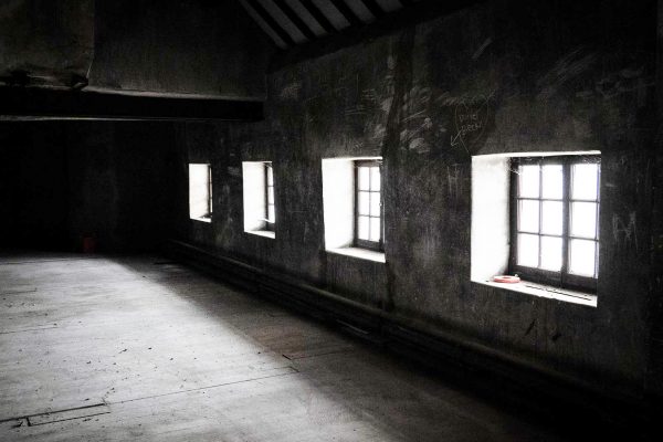 Whitehaven News Interior Whitehaven News Interior